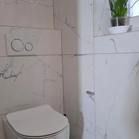 Apartma Downtown Delight *
